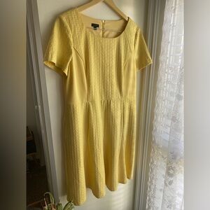 Talbots Butter Yellow Fit & Flare Short Sleeve Dress Size 16 Textured Ruffle